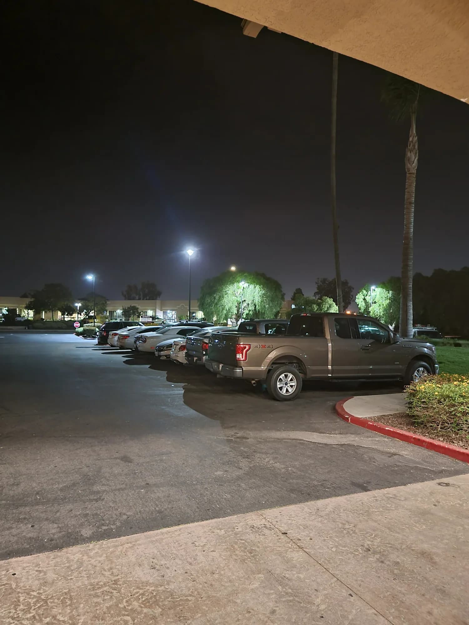 Pole lights illuminating a row of parked vehicles
