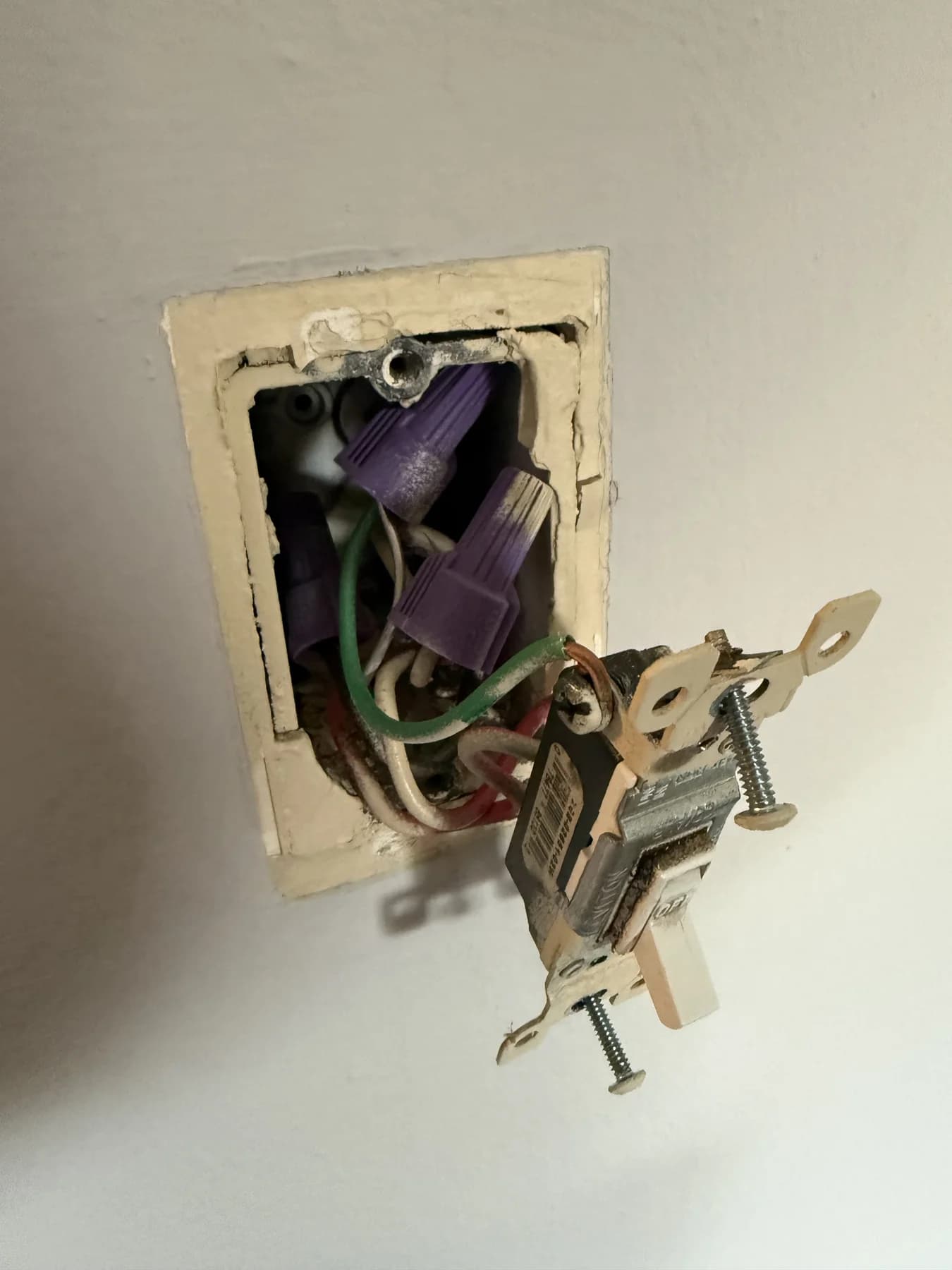 Open switch box with conductors and wire connectors visible