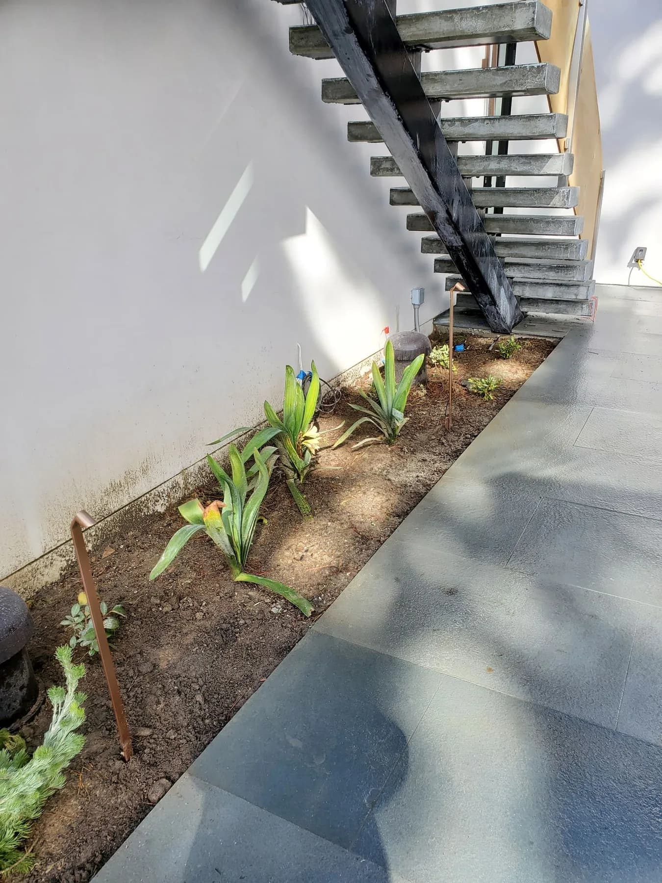 Garden bed and concrete path beside a home, photographed in daylight