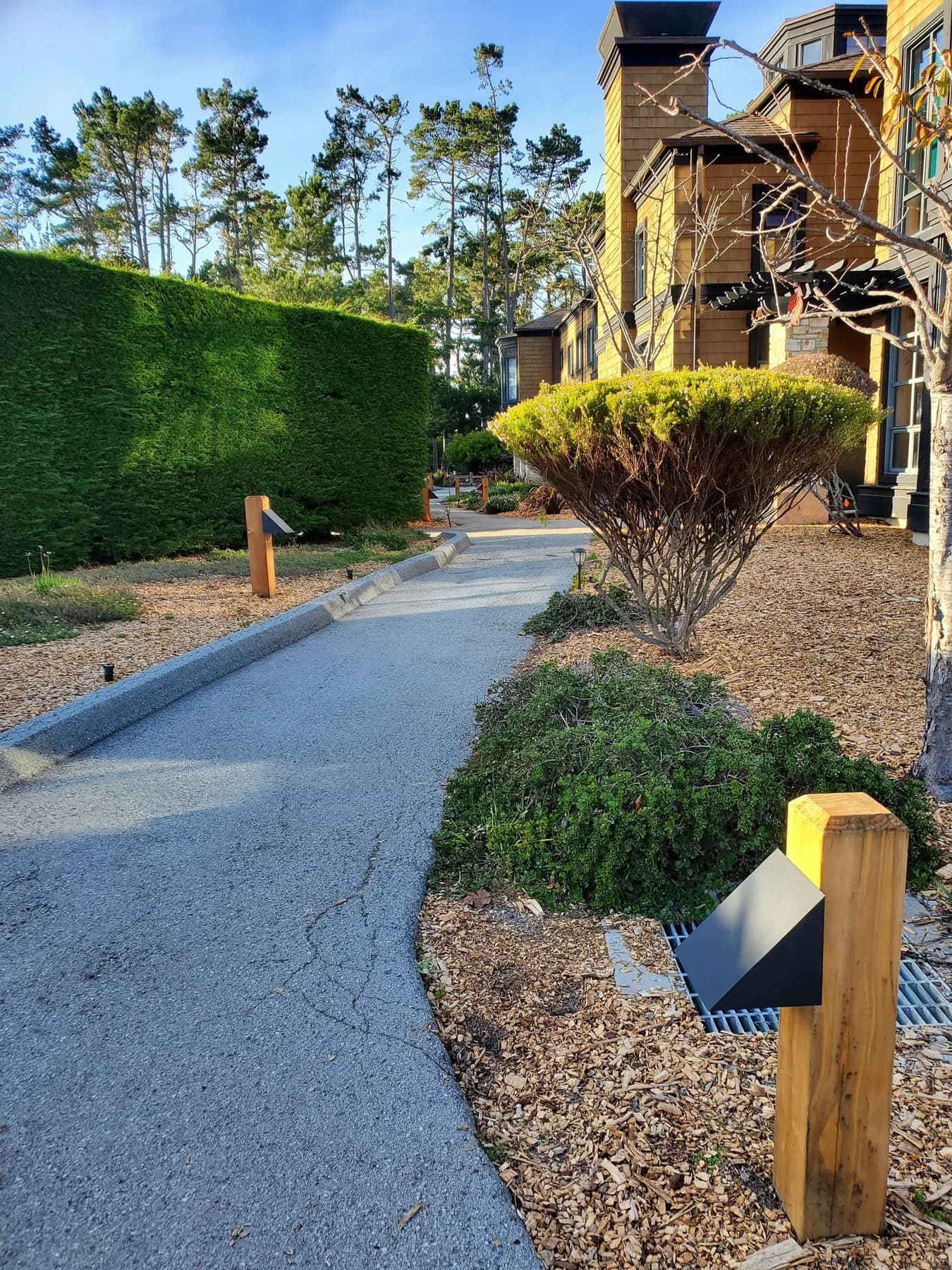 Paved garden walkway with low fixtures and mature planting, photographed in daylight